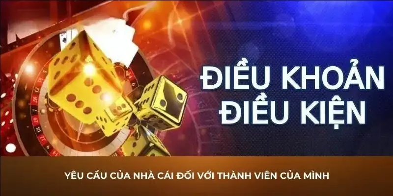 Tuân thủ điều khoản khi truy cập trang web Kubet