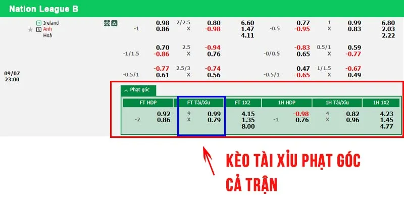 Ví dụ bảng kèo trận đấu Anh vs Ireland